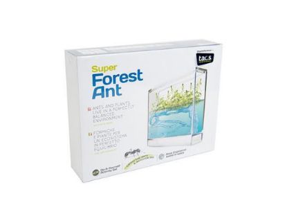 Picture of Alexander Taron Importer